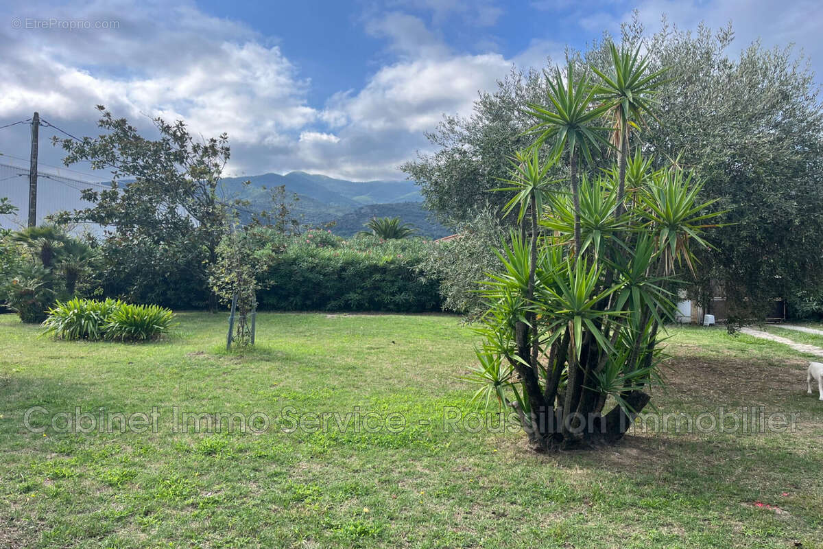 Terrain 632 m² à Ceret  - photo 3