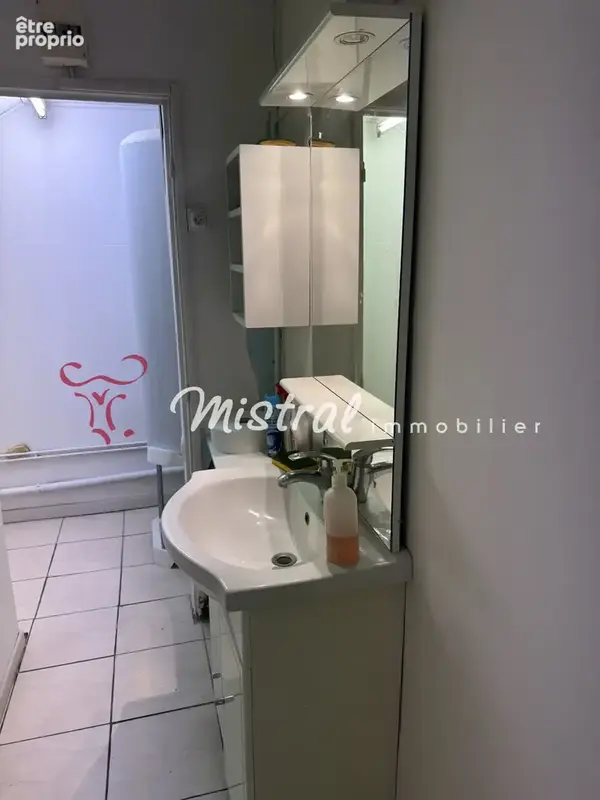 Aigues mortes appartement avec terrasse et local commercial - photo 5