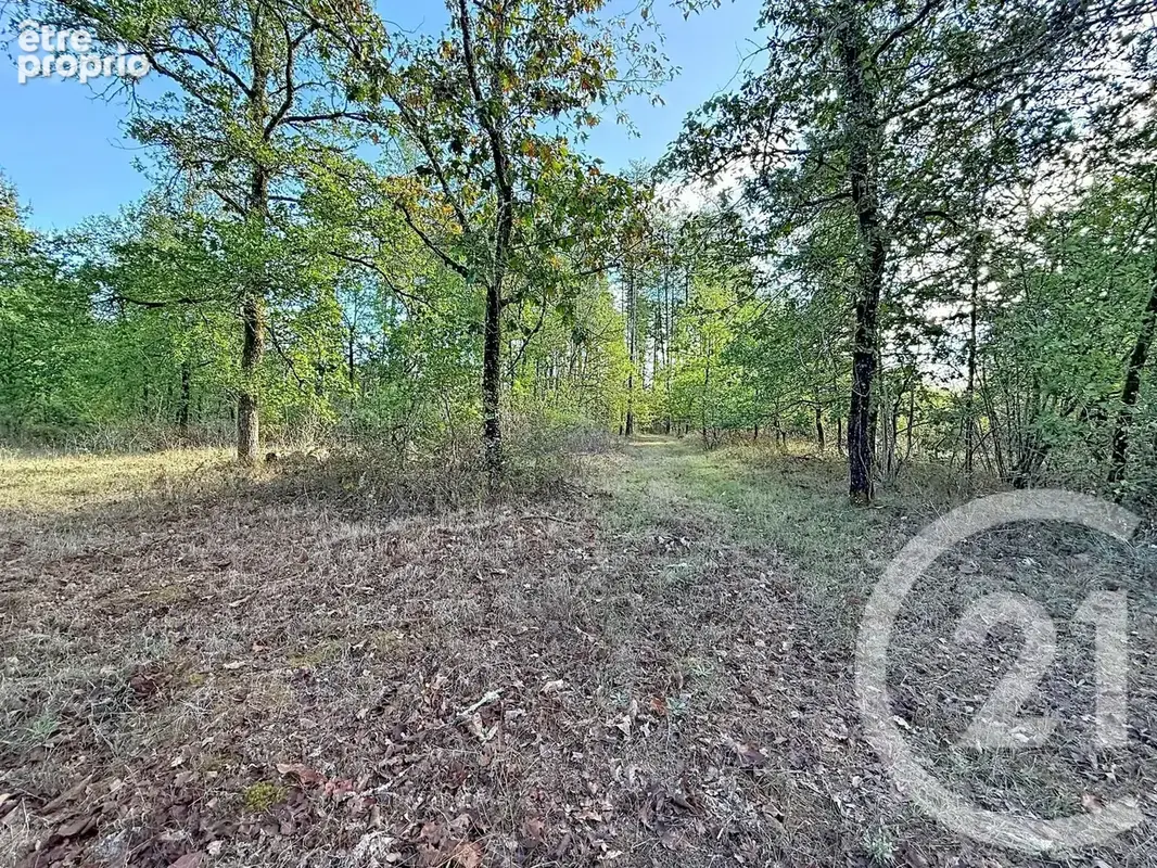 Terrain 80 605 m² à vendre à Chaon (41600) - photo 4