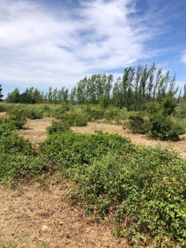 Terrain à SAINT-HILAIRE-D&#039;OZILHAN