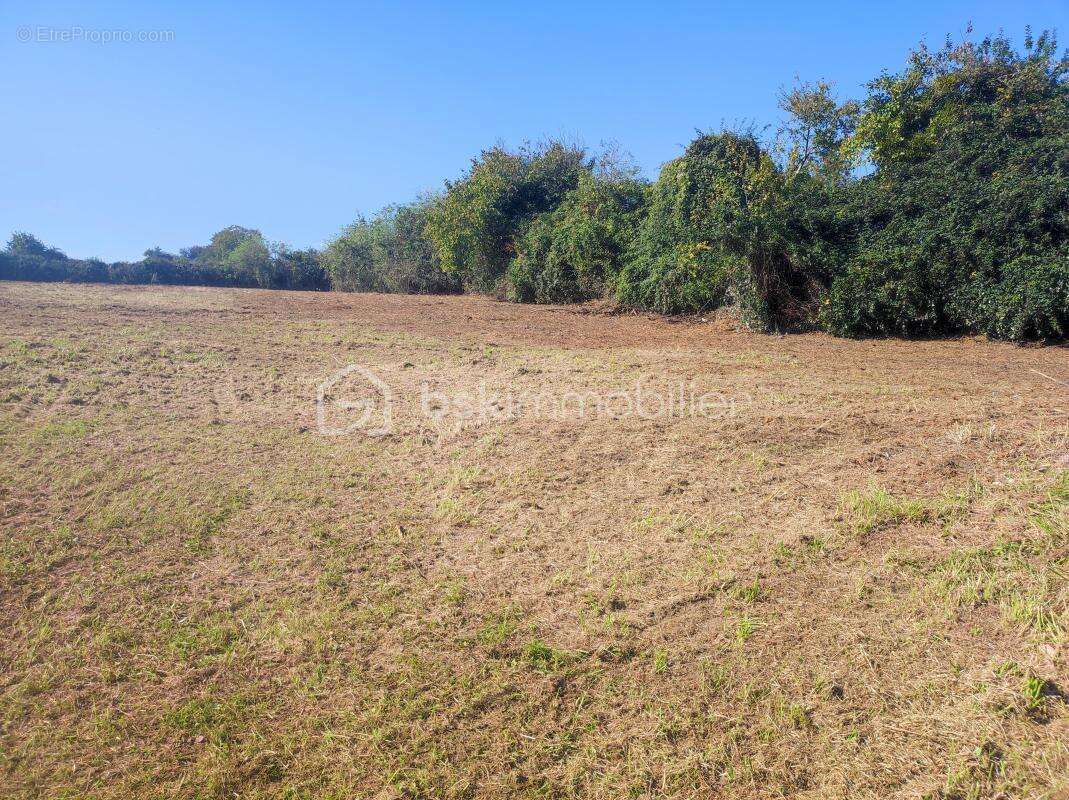  Terrain constructible de 2 514 m² avec grange – Cadre naturel et beau potentiel - photo 4
