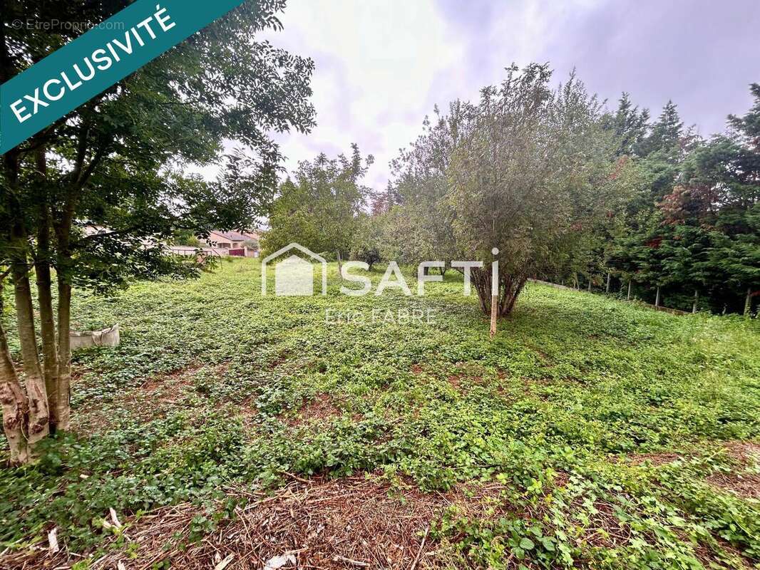 Photo 2 - Terrain à MAZAMET