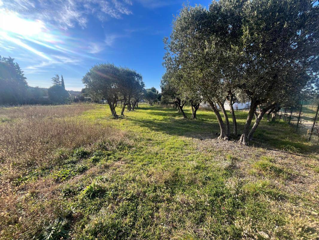 Terrain à UZES