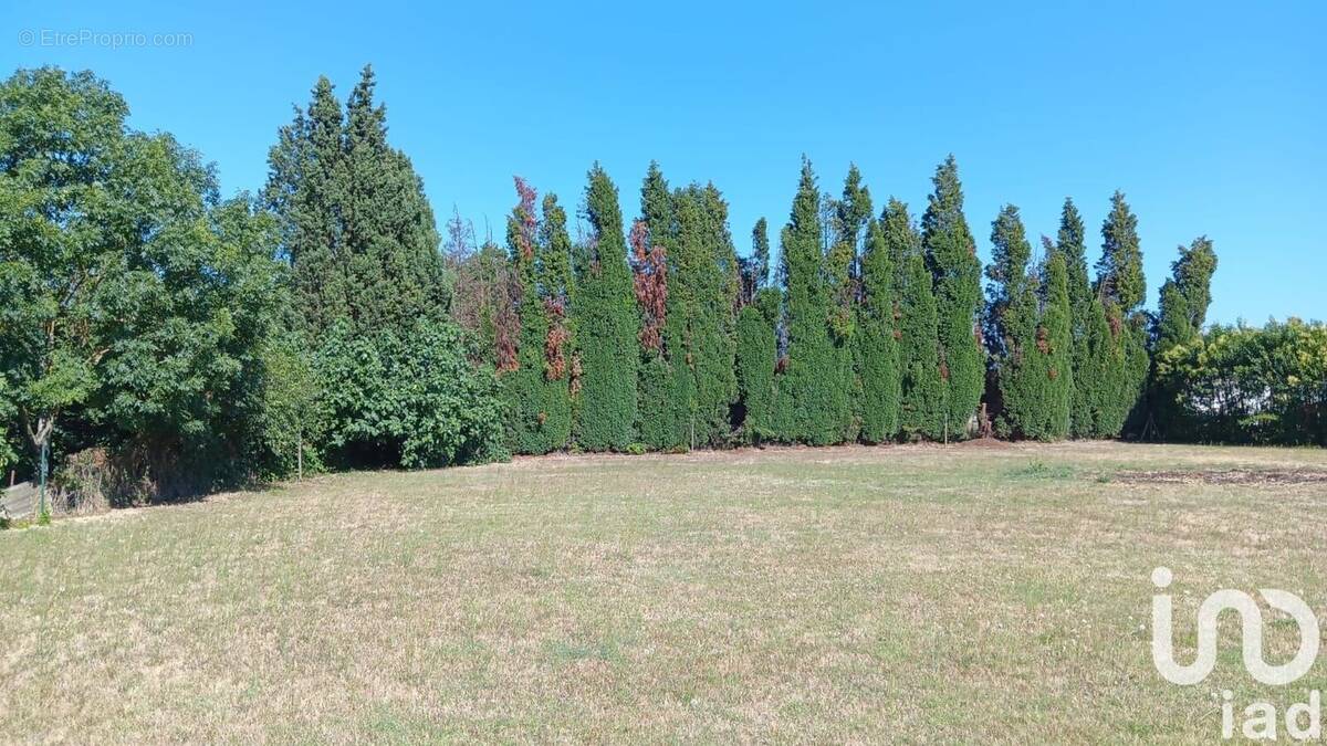 Photo 1 - Terrain à LABASTIDE-D&#039;ANJOU