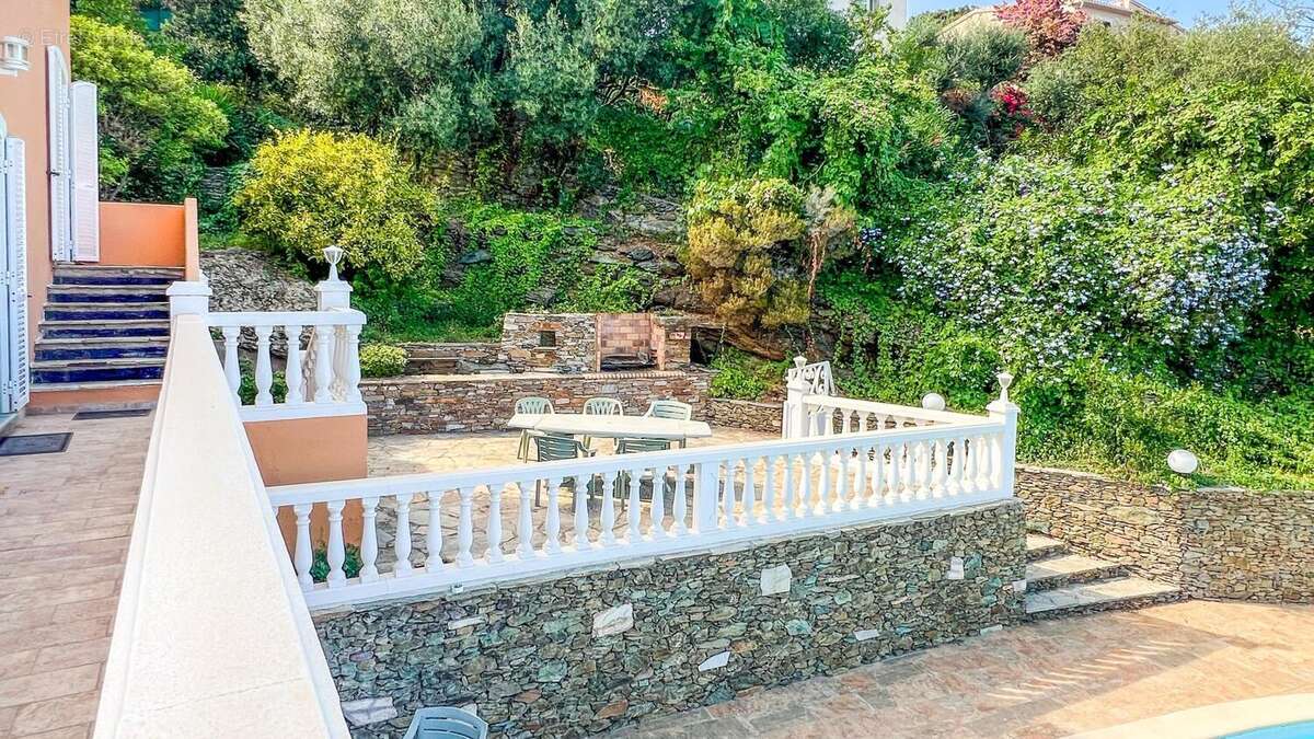 Photo 6 - Maison à SAN-MARTINO-DI-LOTA