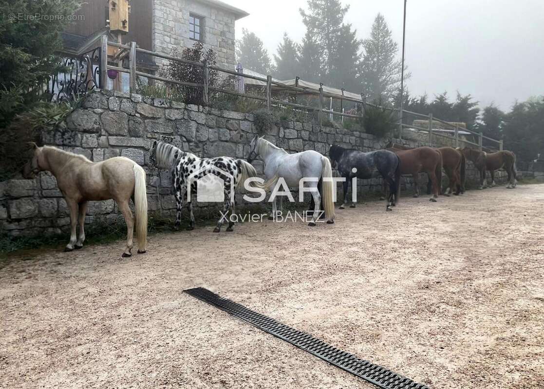 Photo 3 - Commerce à AUMONT-AUBRAC