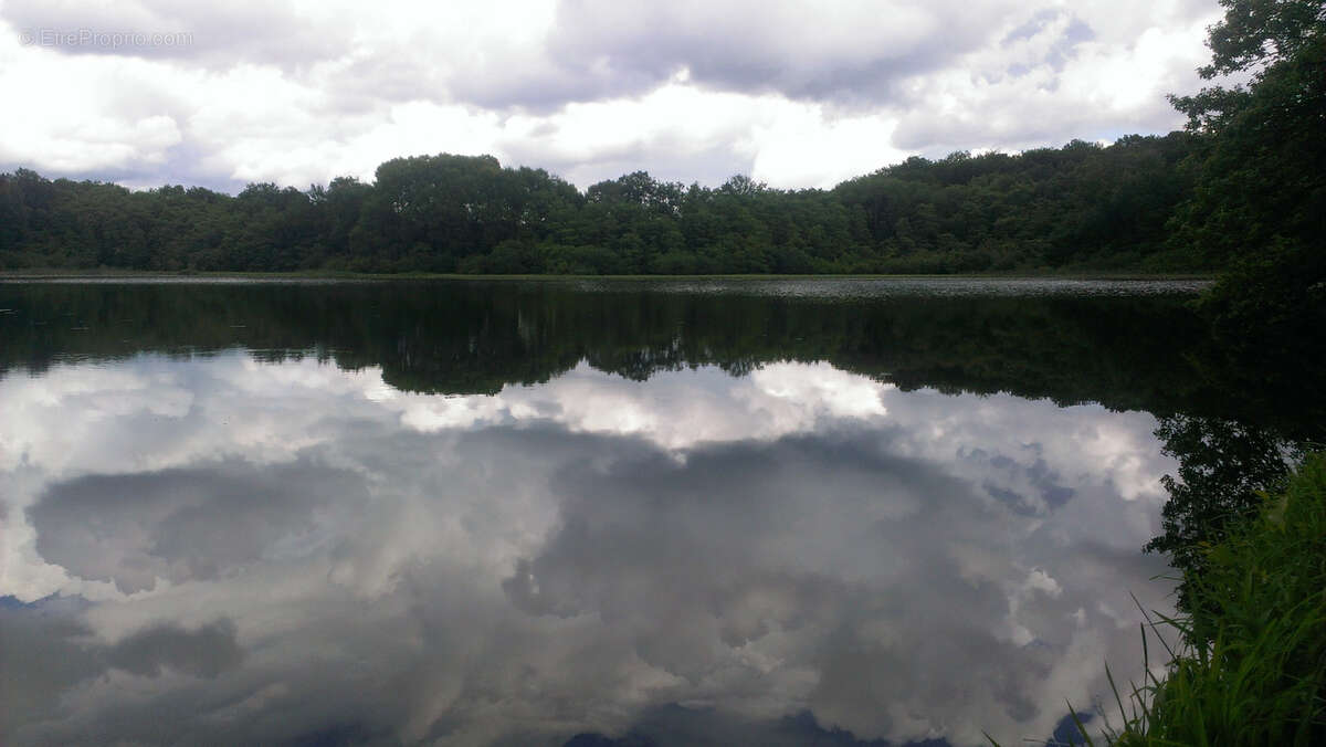 Terrain à PLOMBIERES-LES-BAINS