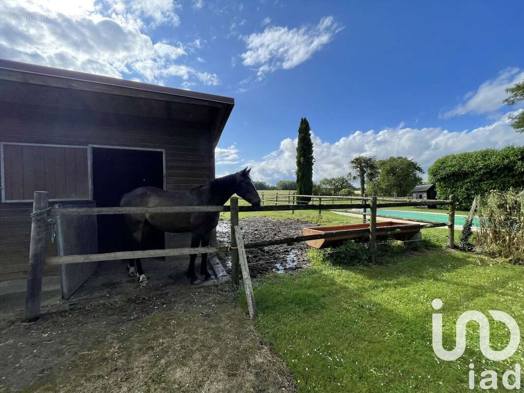 Photo 6 - Maison à SAINT-SAVIN