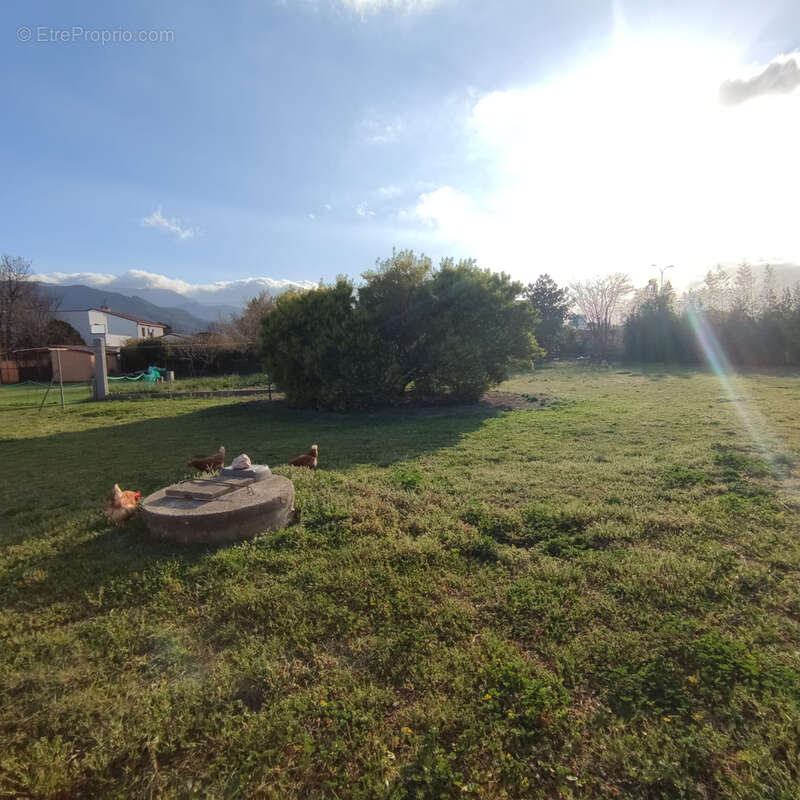 Terrain à ARGELES-SUR-MER