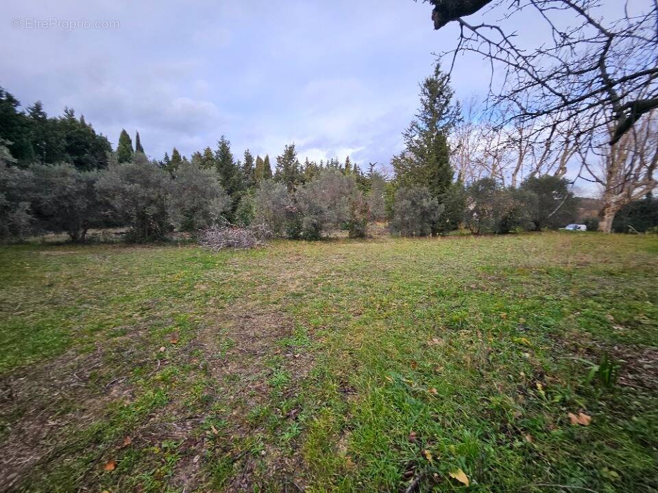 Terrain à MAUSSANE-LES-ALPILLES