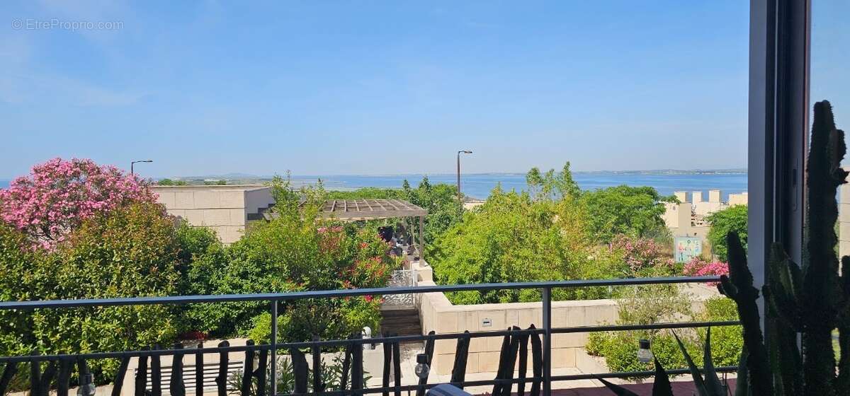 Appartement à SETE