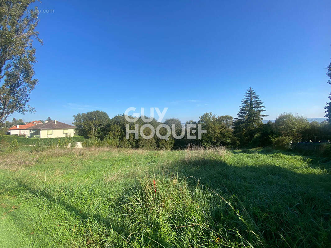 Terrain 1320 m² proche d'Orthez direction Pau - photo 6