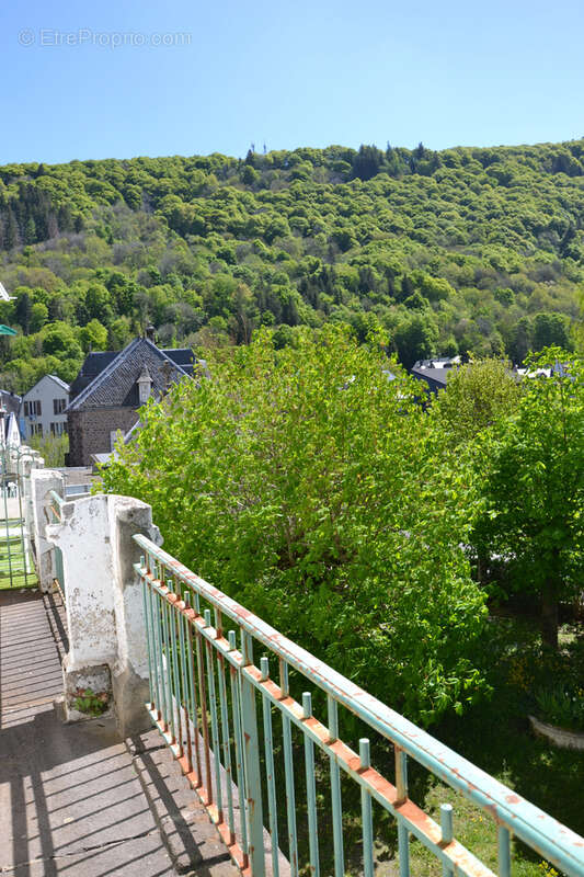 Lumineux T3 de 50m2 avec balcon et belle vue sur les montagnes - photo 6