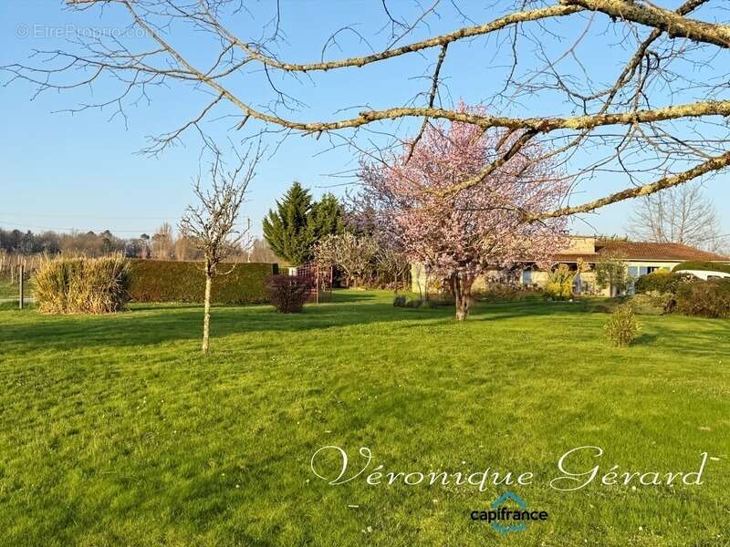 Maison de 134 m² de plain-pied, en pierre, sur plus de 5880 m² - photo 5