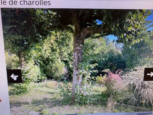 Maison à CHAROLLES