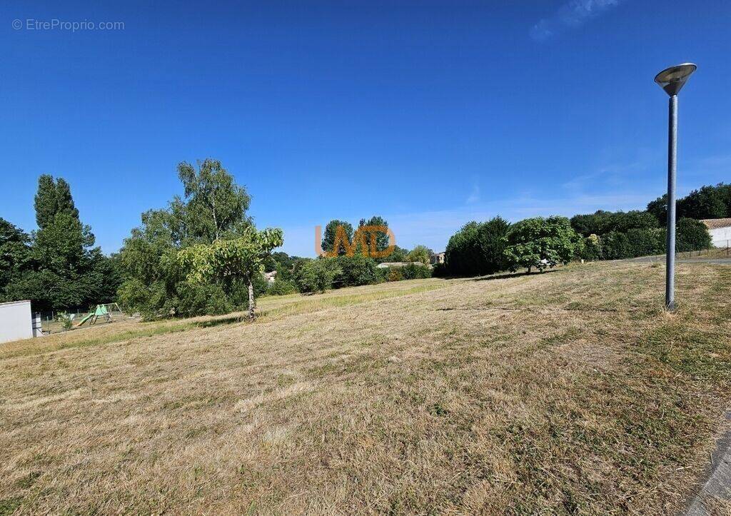 Terrain à ECOYEUX