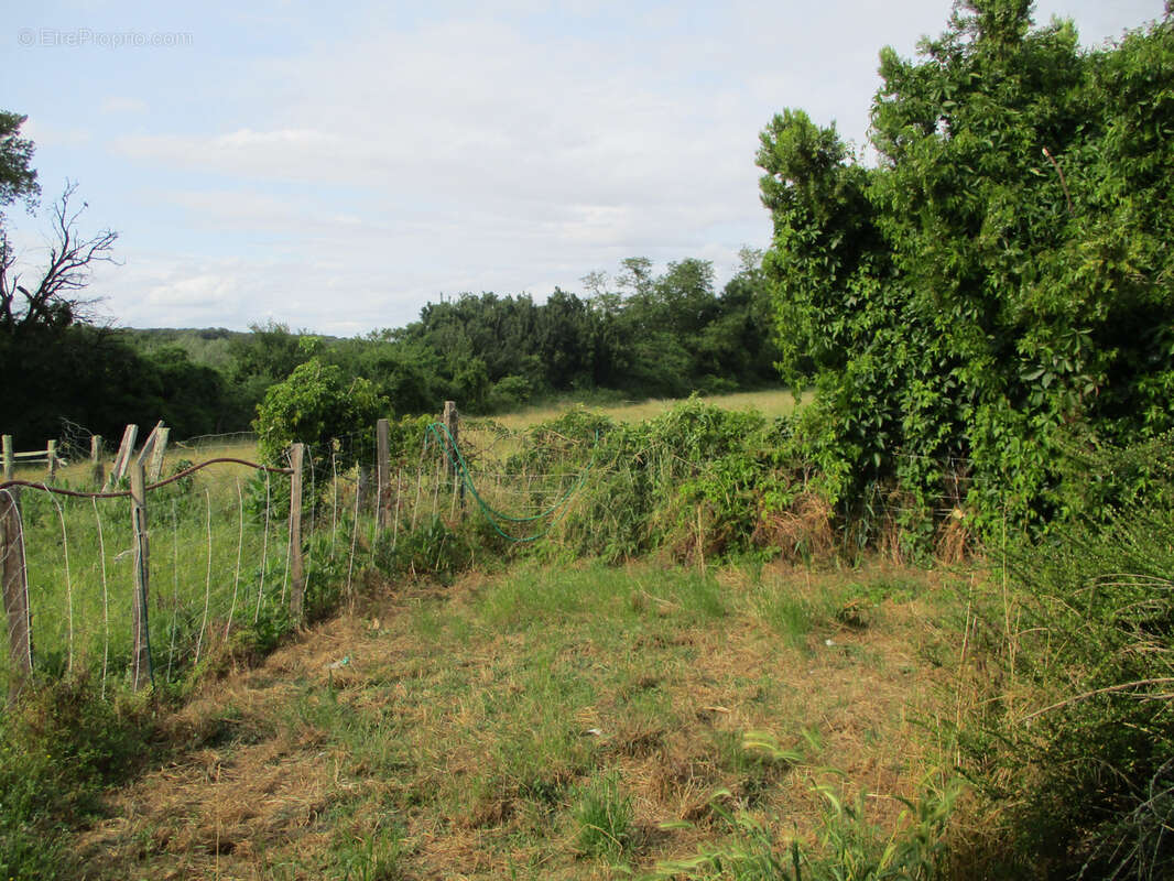 Maison à CEAUX-EN-COUHE