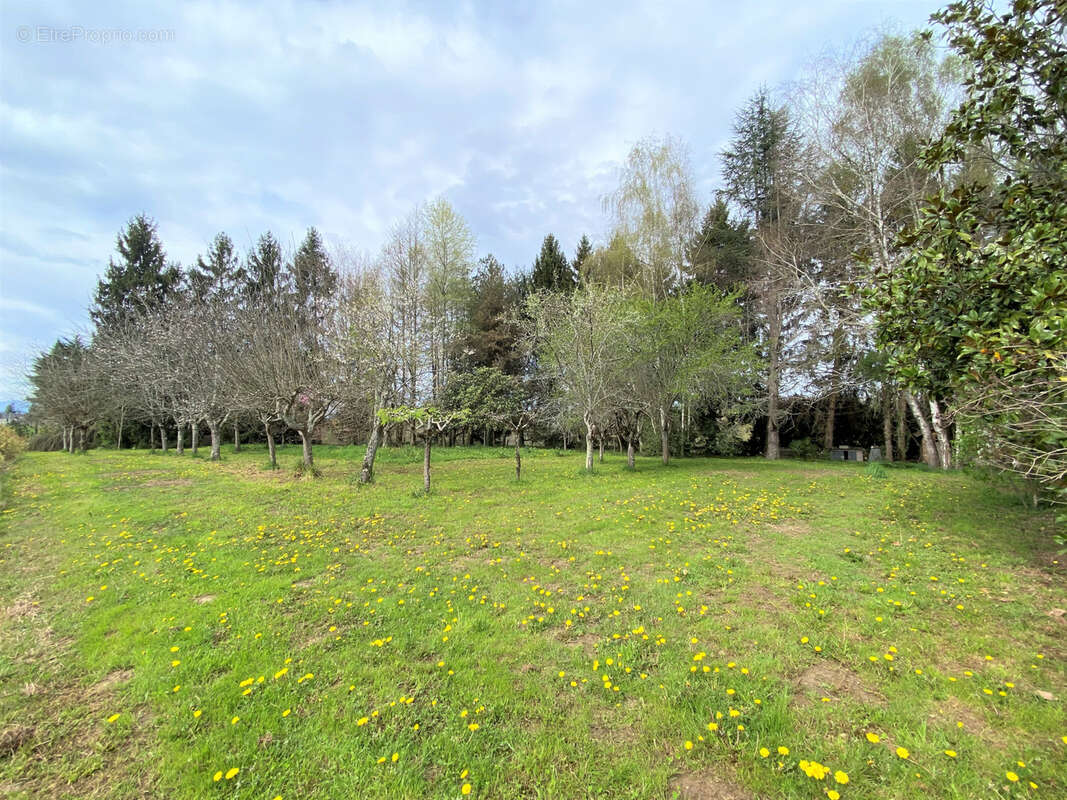Maison à LUCQ-DE-BEARN