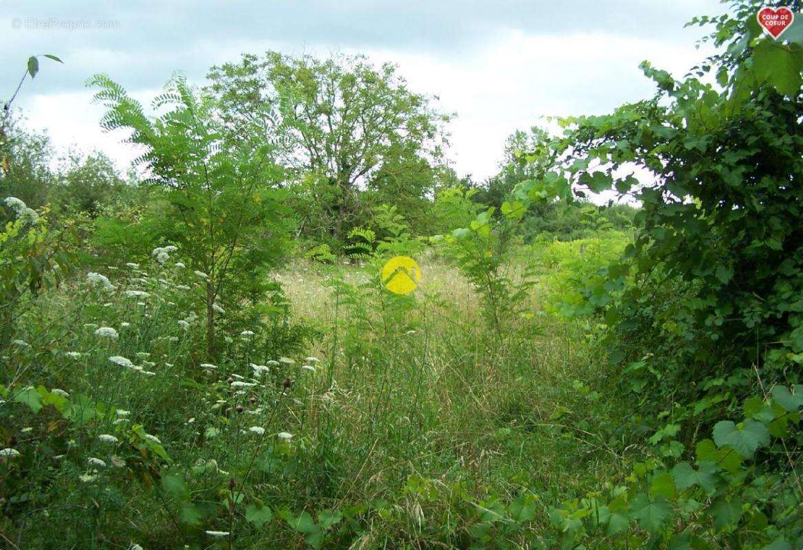 Terrain à BOURGES