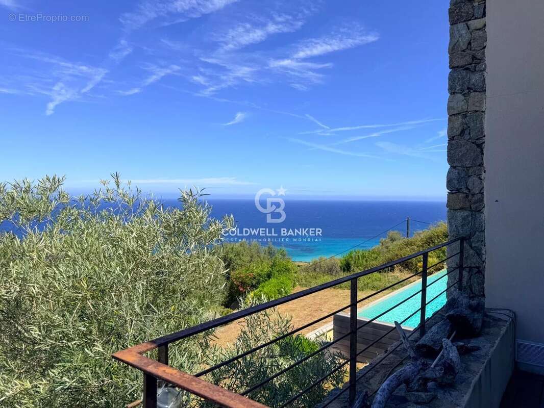 Corbara - Villa de Charme vue Panoramique - photo 43
