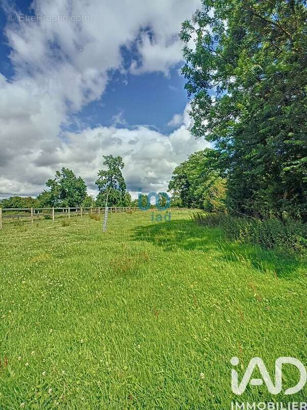 Photo 3 - Terrain à CERISY-LA-FORET