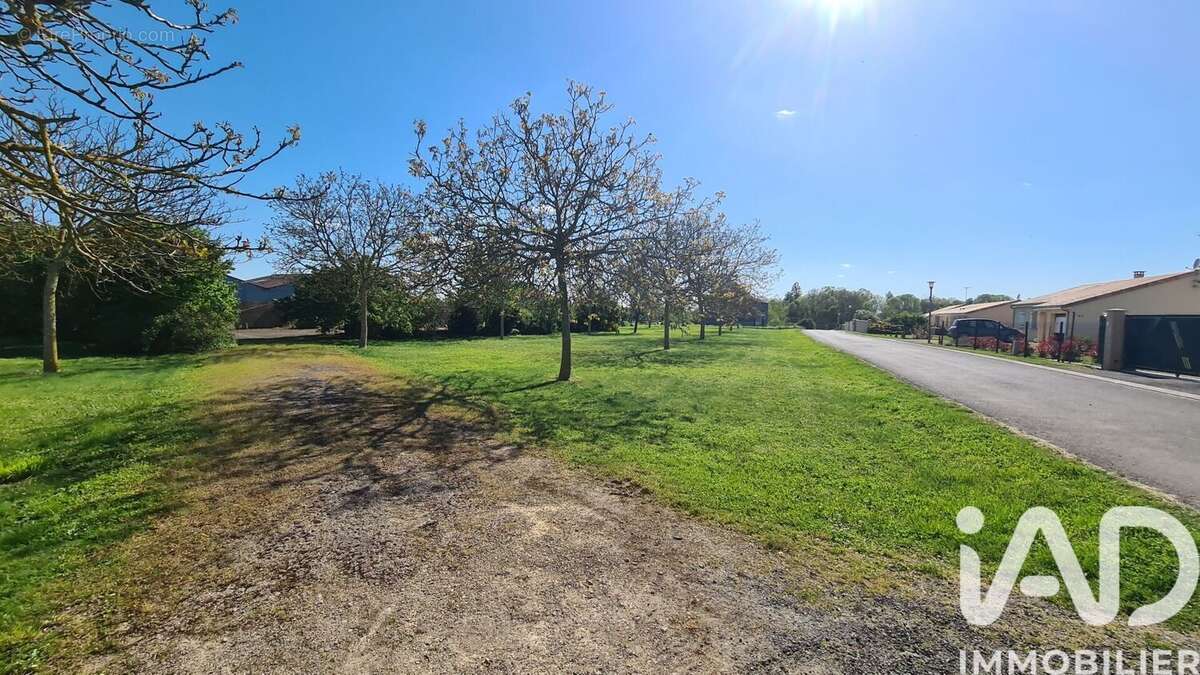 Photo 4 - Terrain à MASSOGNES