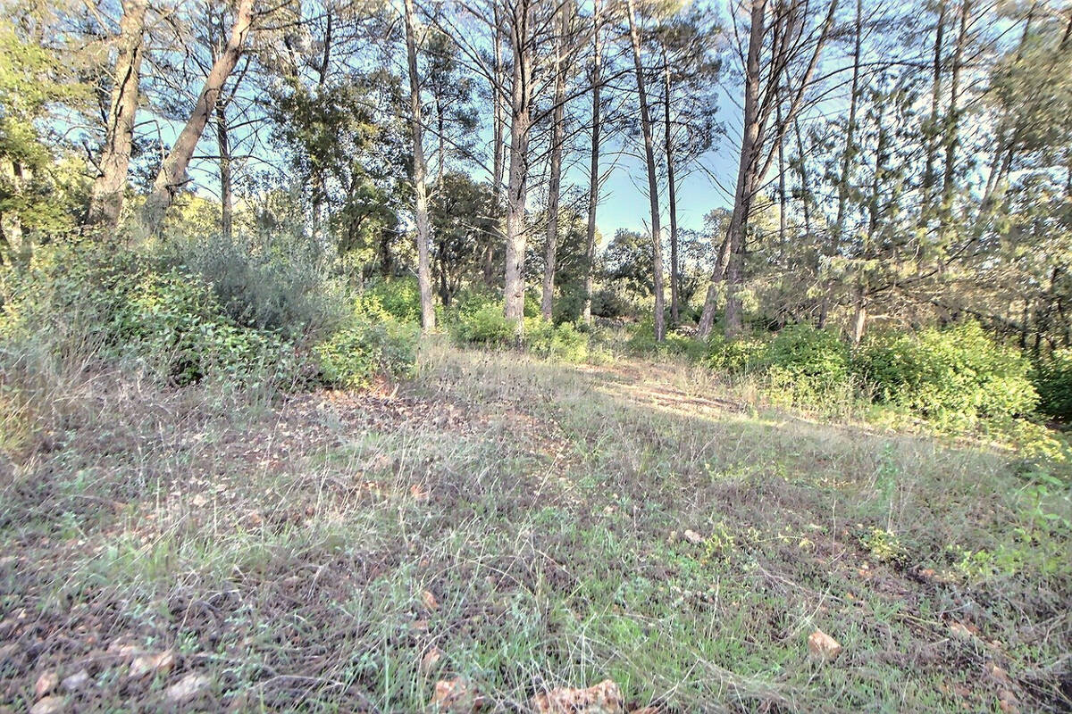 Terrain à TRANS-EN-PROVENCE