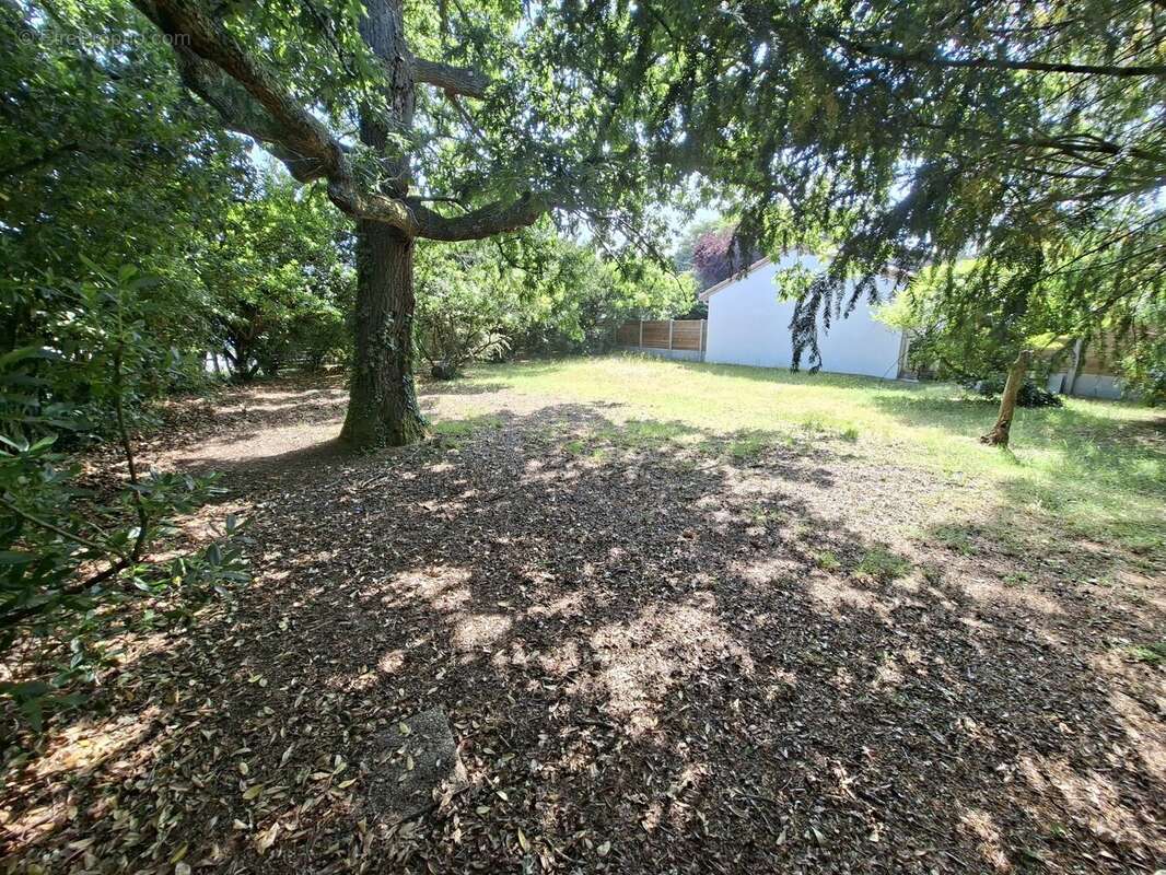 Terrain à ANDERNOS-LES-BAINS