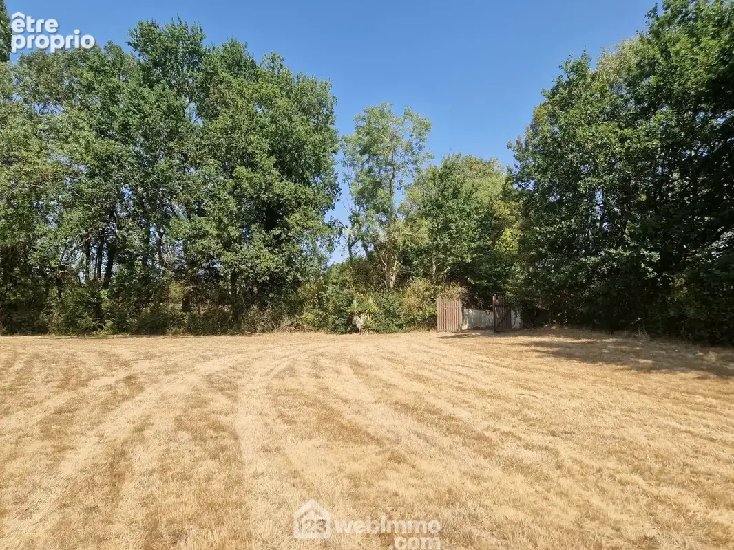 Terrain 13 400 m² à vendre à Nesmy (85310) - photo 6