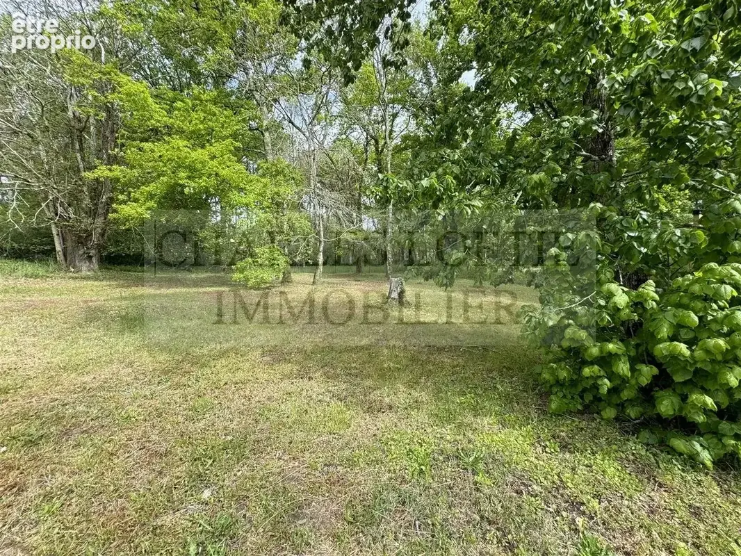 Maison familiale avec garage attenant, sur terrain de plus de 4900 m² - photo 16