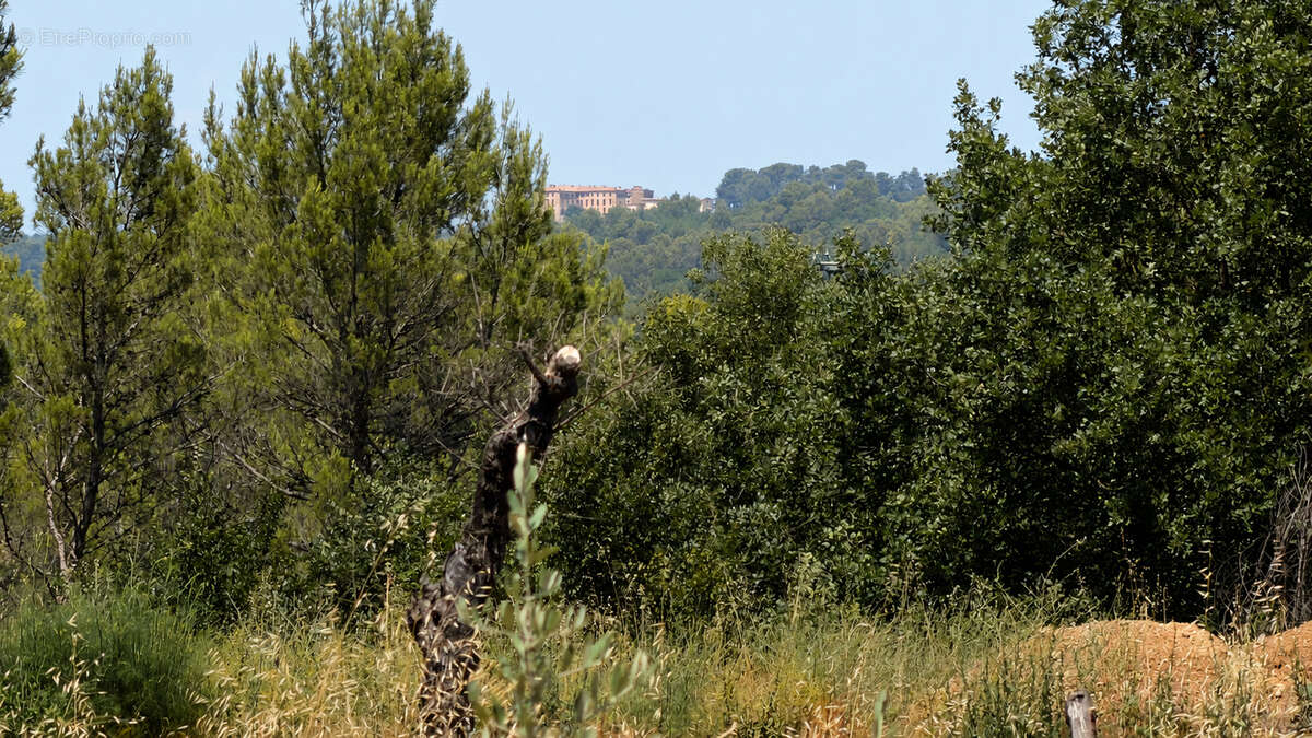 Grande propriété 4 hectares Varages - photo 9