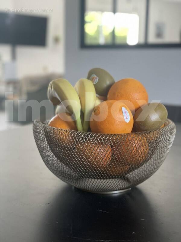 IMG_E8401 - Maison à LA ROUXIERE