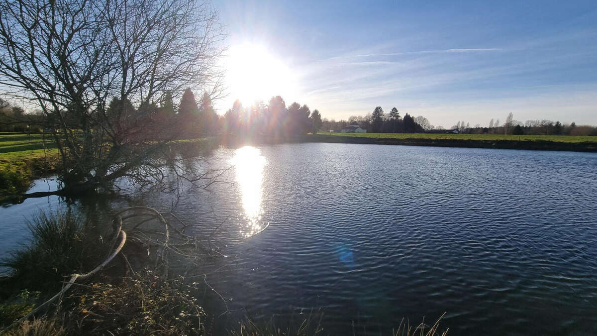 20251218_153931 - Maison à PIEGUT-PLUVIERS