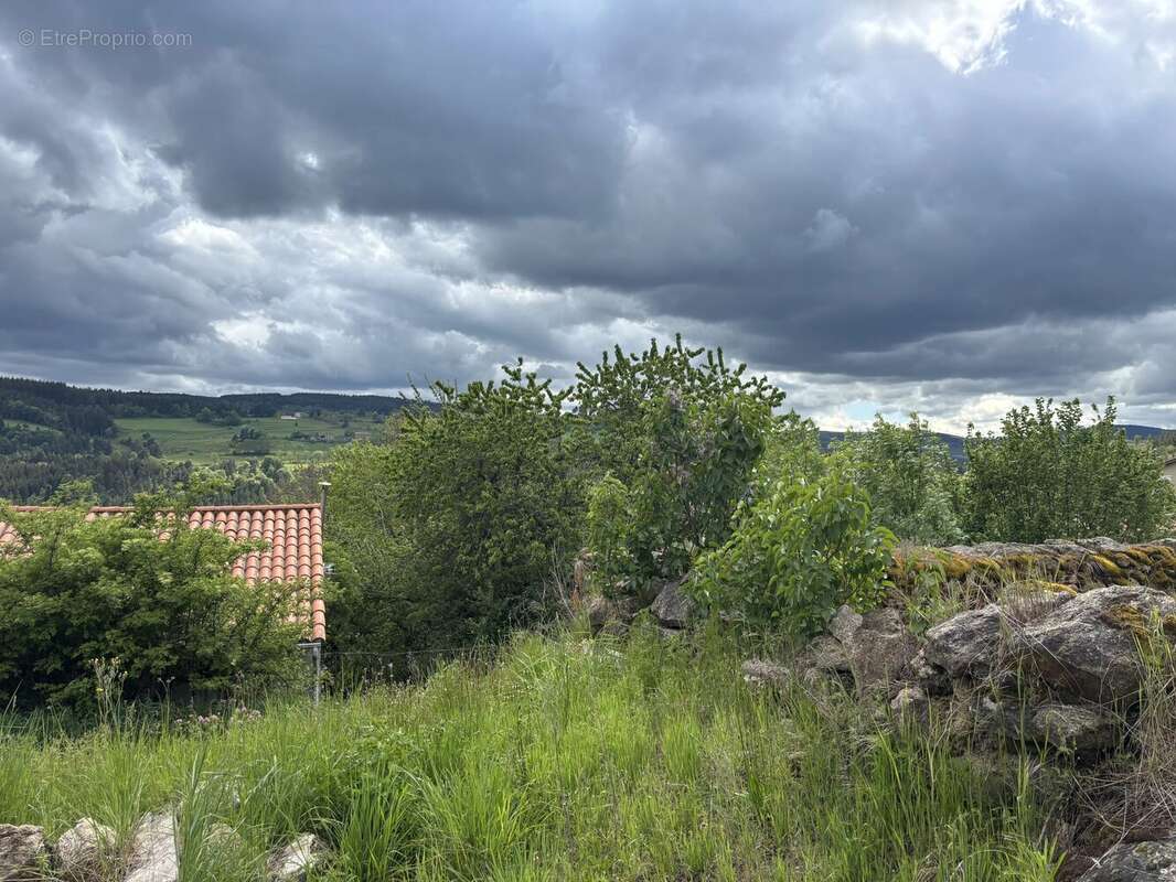 Exclusivité - plateau à aménager avec extérieur - photo 6