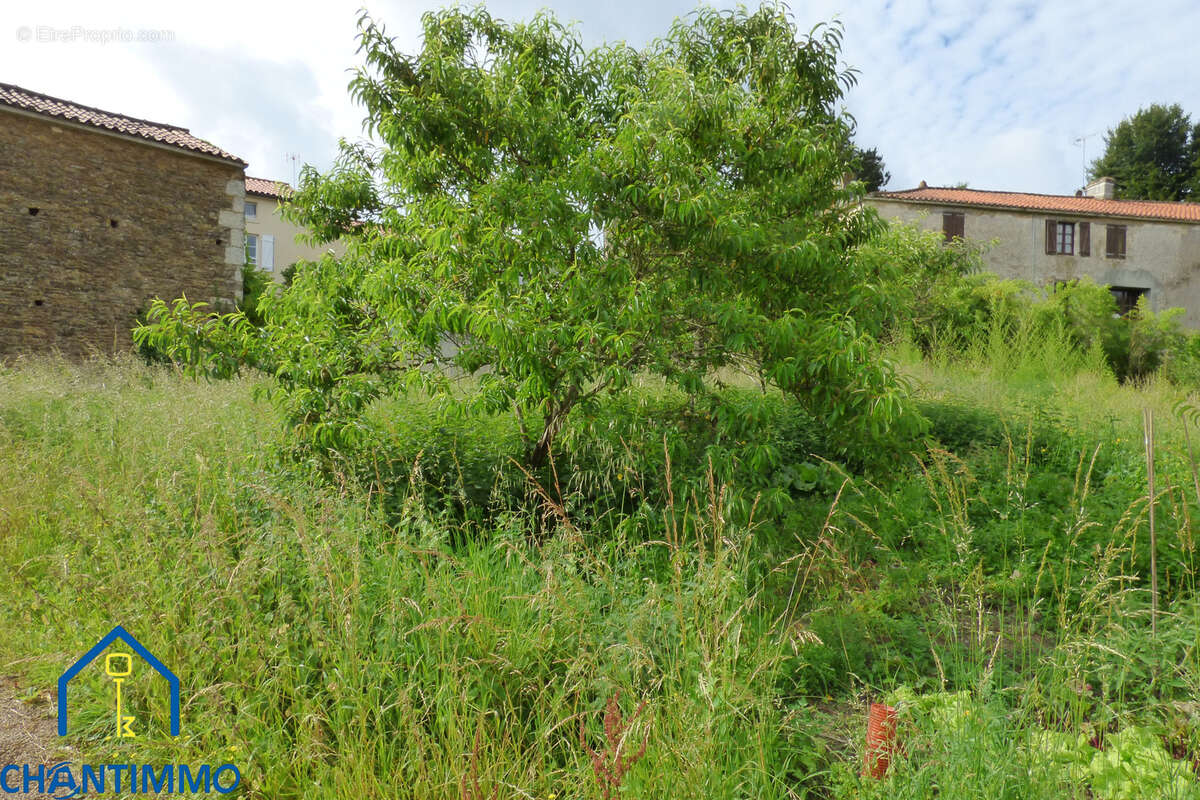 Terrain 312 m² à La Jaudonniere  - photo 2