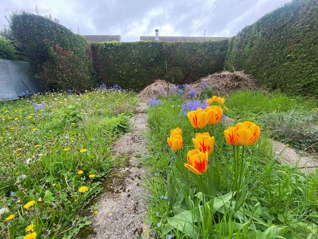 Photo 6 - Maison à MOREUIL