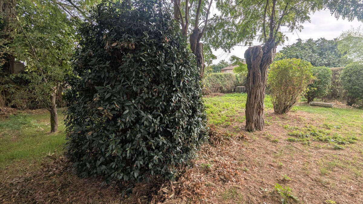 Photo 7 - Maison à SAINT-HILAIRE-LA-PALUD