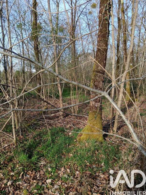 Photo 9 - Terrain à SAINTE-GEMME