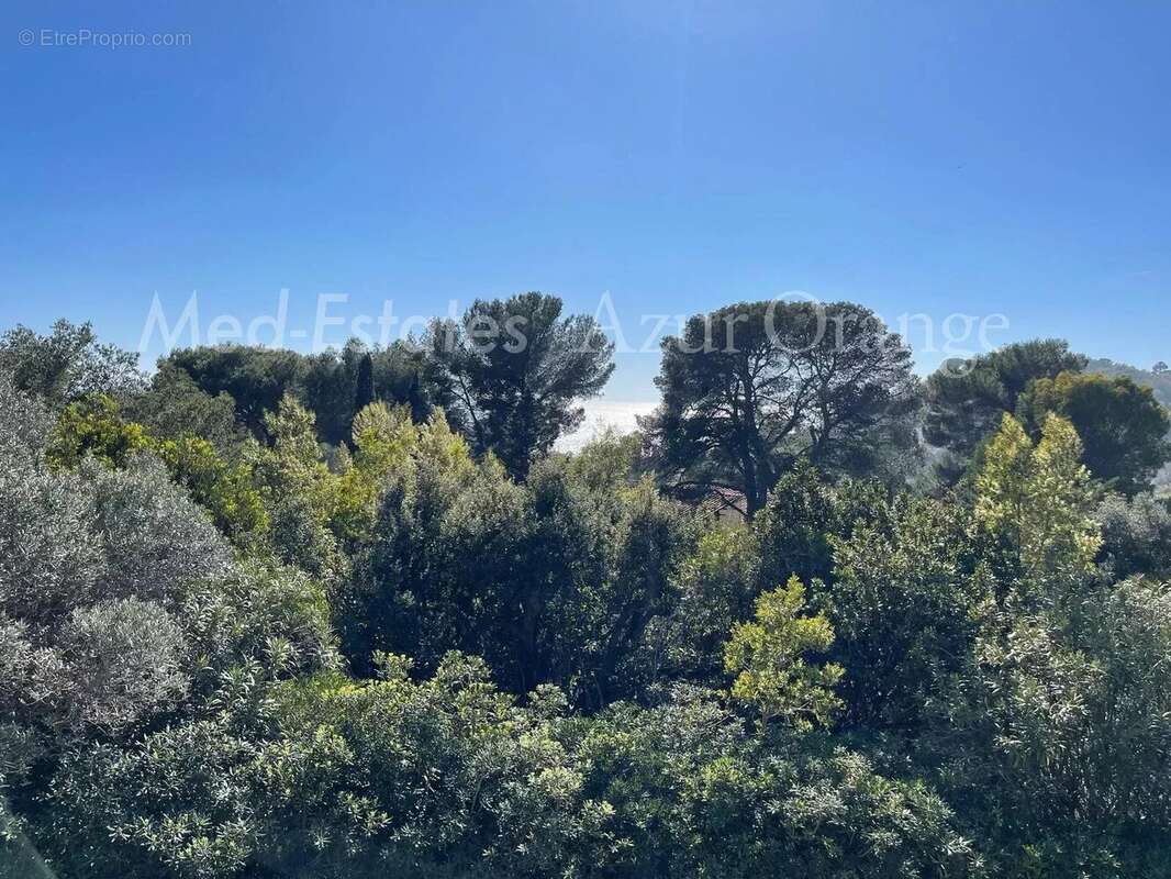 Maison à LA CROIX-VALMER