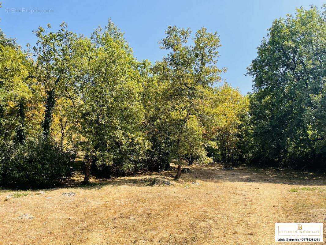 Maison à SAINT-CEZAIRE-SUR-SIAGNE