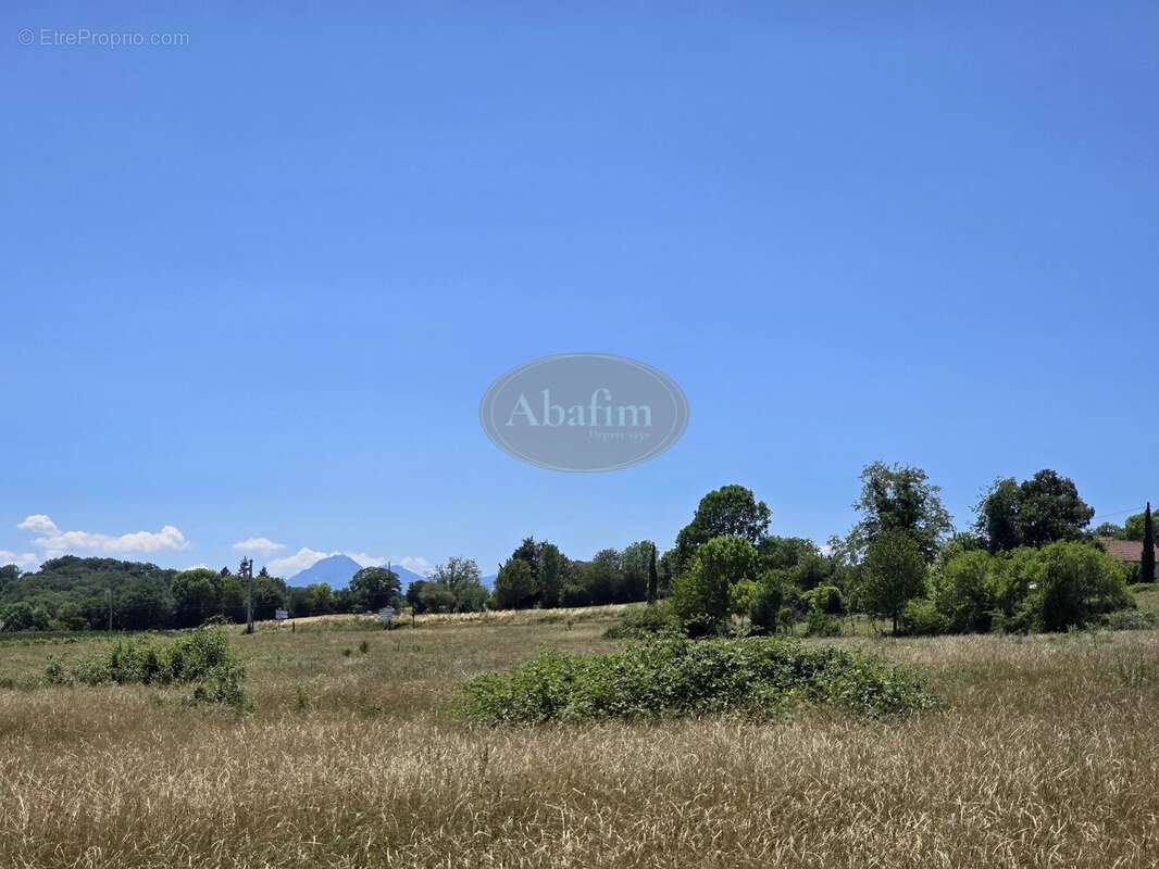Ferme sur 3 Ha - photo 11