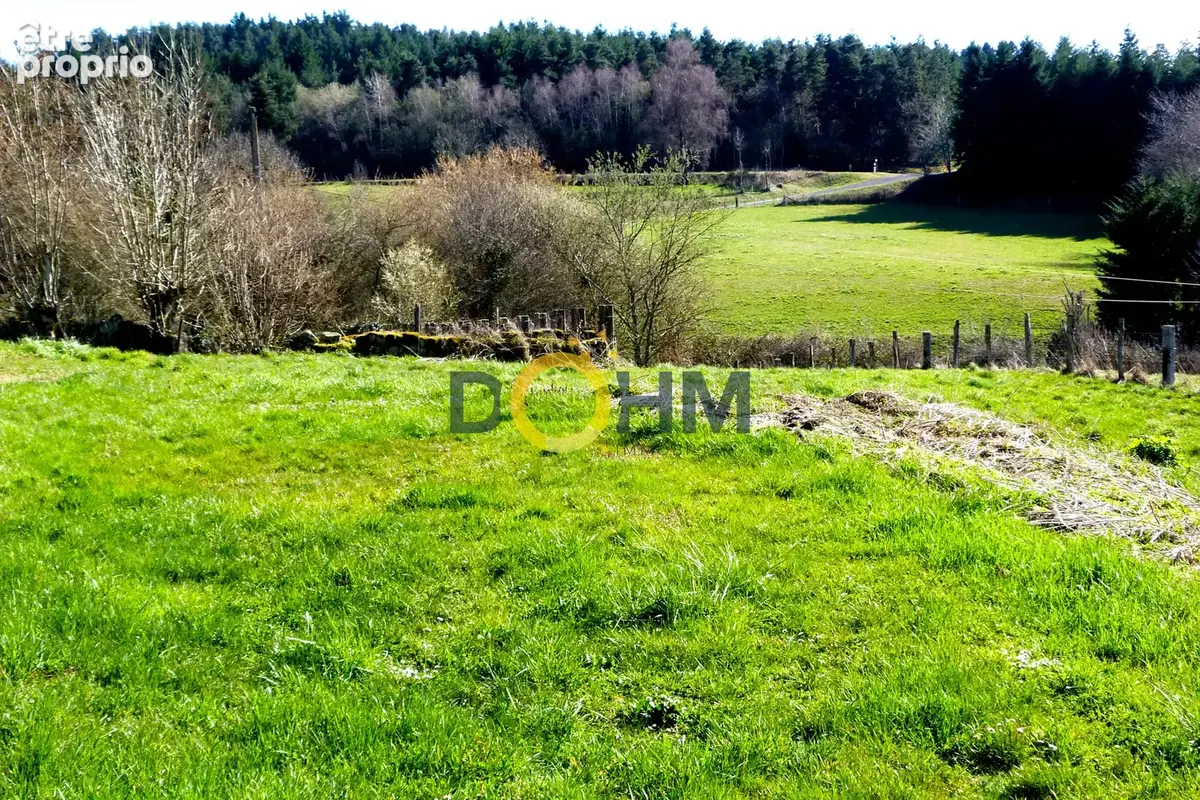 Corps de ferme à haut potentiel   Saint-Nizier-de-Fornas - photo 6