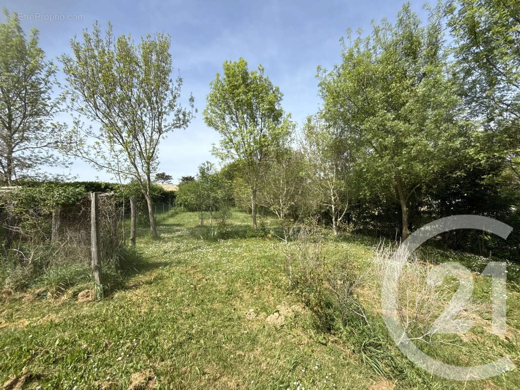 Terrain à PESSAN