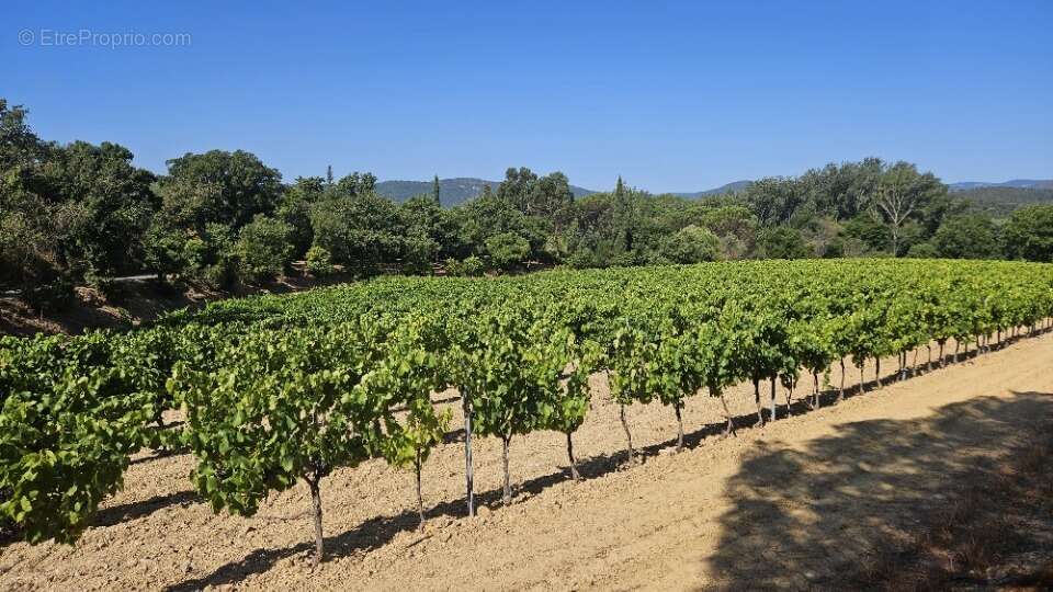 Terrain à COGOLIN