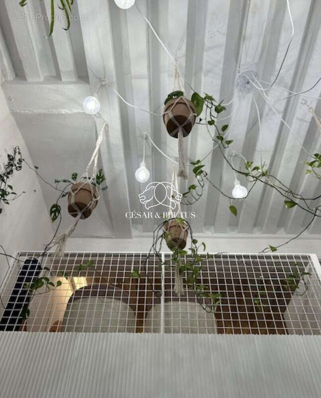 50 m² à Lyon-2e  - photo 8