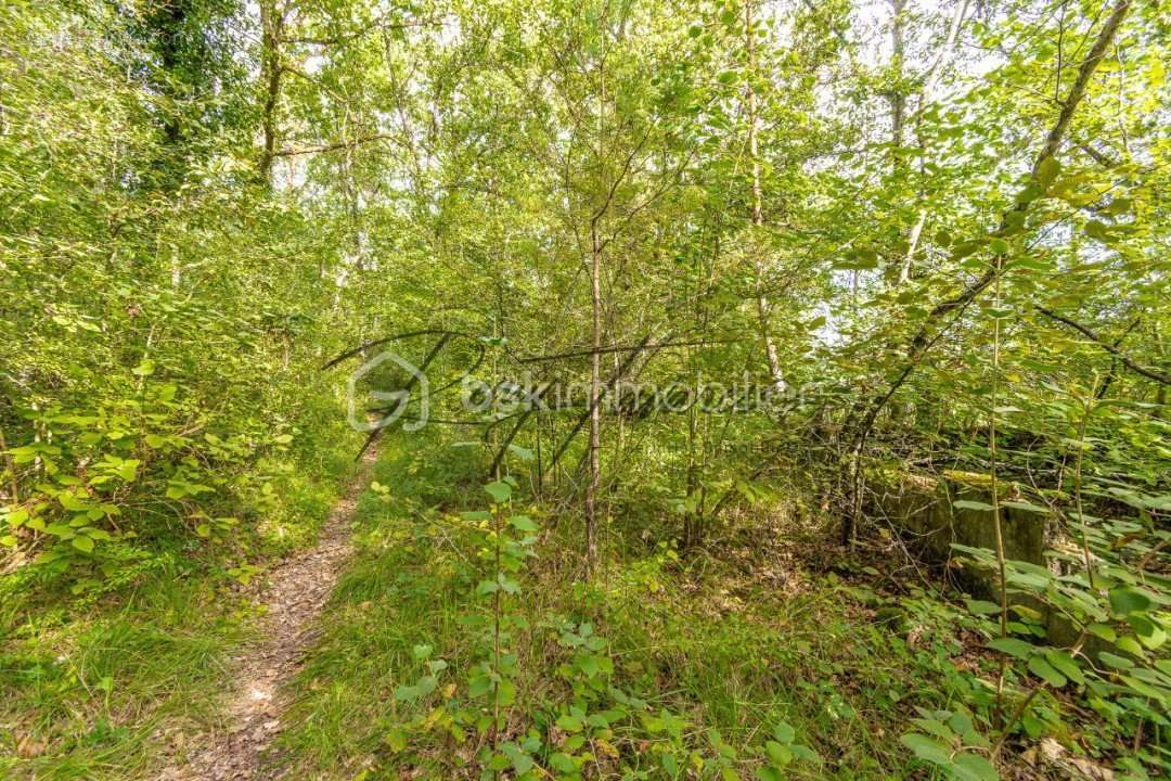 Terrain à NANTEAU-SUR-LUNAIN