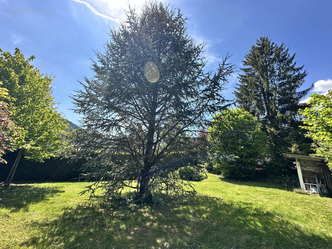 Maison à SAINT-JEAN-DE-SIXT