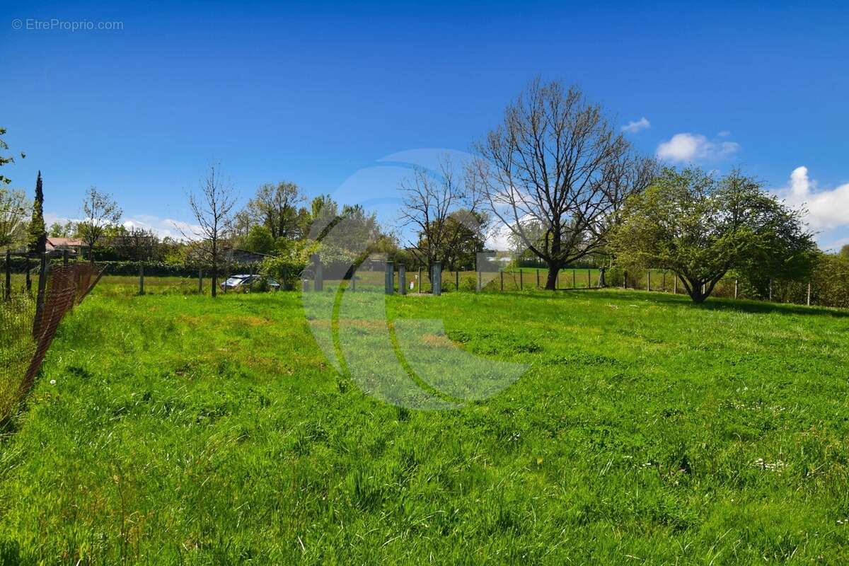 Terrain à NEGREPELISSE