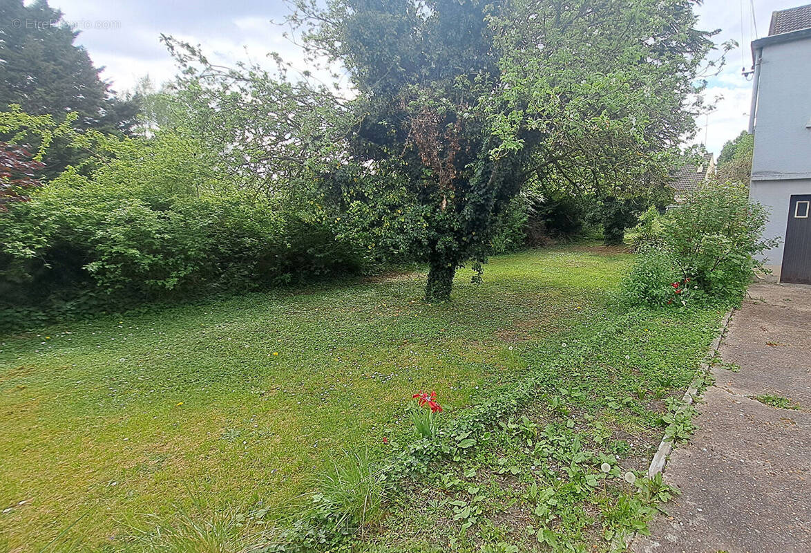 Terrain à BEAUMONT-SUR-OISE