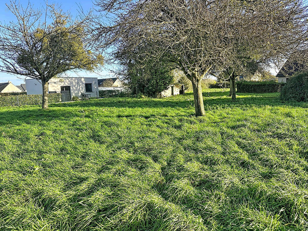 Terrain à SAINTE-MERE-EGLISE